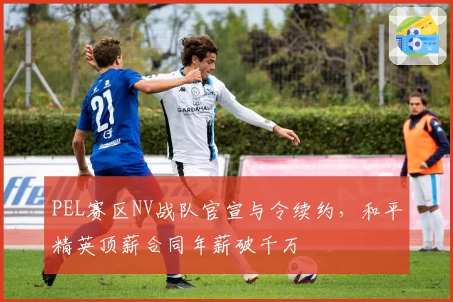 PEL赛区NV战队官宣与令续约，和平精英顶薪合同年薪破千万