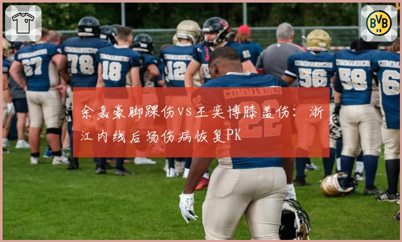 余嘉豪脚踝伤vs王奕博膝盖伤：浙江内线后场伤病恢复PK