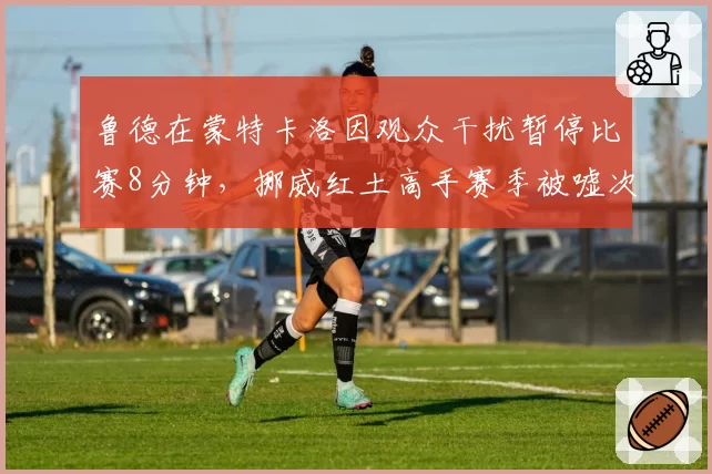 鲁德在蒙特卡洛因观众干扰暂停比赛8分钟，挪威红土高手赛季被嘘次数23次最不受欢迎