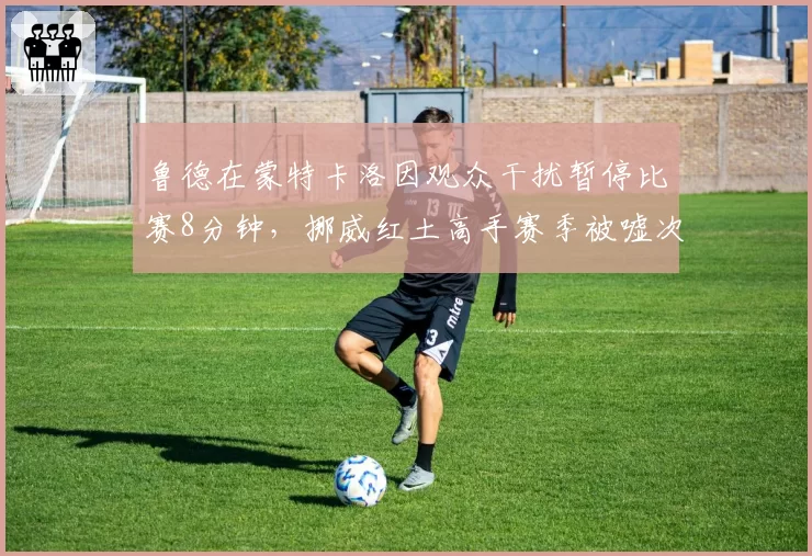 鲁德在蒙特卡洛因观众干扰暂停比赛8分钟，挪威红土高手赛季被嘘次数23次最不受欢迎