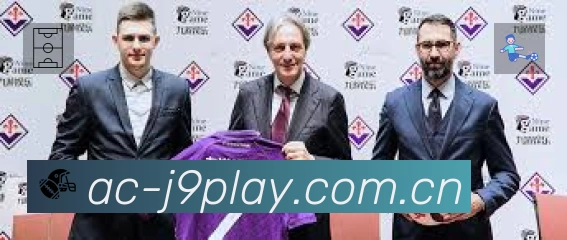 结构优化认证展示